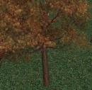 130px-Baum.jpg