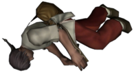Ginseng Toplayıcısı.png