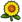 Ayçiçeği.png