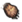 Ayı Pençesi.png