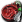 Donner Mührü.png