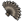 Güneş Yelpazesi.png