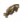 Izgara Ot Sazanı.png