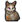 Kahverengi Angora Kedisi.png