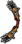 Kesici Diş Yayı.png