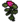 Kolay Maymun Bitkisi.png