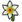 Nergis.png