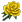 Sarı Gül.png