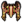 Zi Bandı (Asil).png