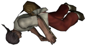 Ginseng Toplayıcısı