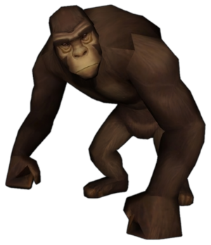Maymun.png