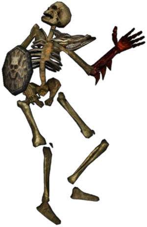 Sura İskeleti 2