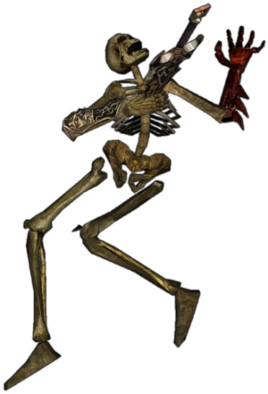 Sura İskeleti 5