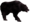 Aç Siyah Ayı.png