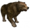 Ayı.png
