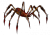 Kötü Kırmızı Zehirli Örümcek.png