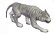 Beyaz Kaplan.png