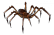 Zehirli Örümcek.png