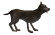 Yabani Köpek.png