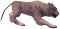 Aç Beyaz Kaplan.png