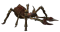 Zehirli Pençe Örümcek.png