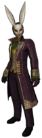 Mor Tavşan Ninja Erkek.png