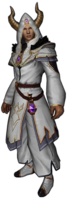 Parlak Kahin Cübbesi Ninja Erkek.png