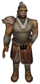 Zırh Satıcısı.png