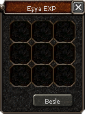 Esya exp panel.png
