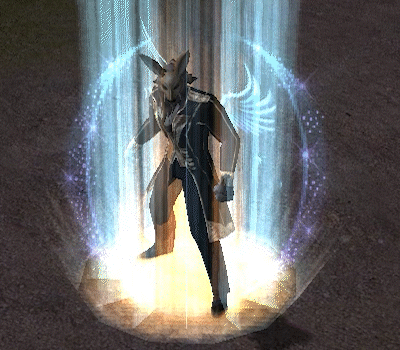 EXP Bonus Gif.gif