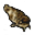 Izgara Yayın Balığı.png