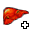 Kaplan Karaciğeri+.png
