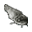 Ölü Yayın Balığı.png
