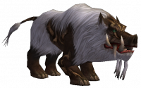 Scrofa.png