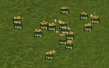 Yang Yer Görüntü.png