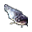 Yayın Balığı.png