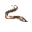 Zargana.png
